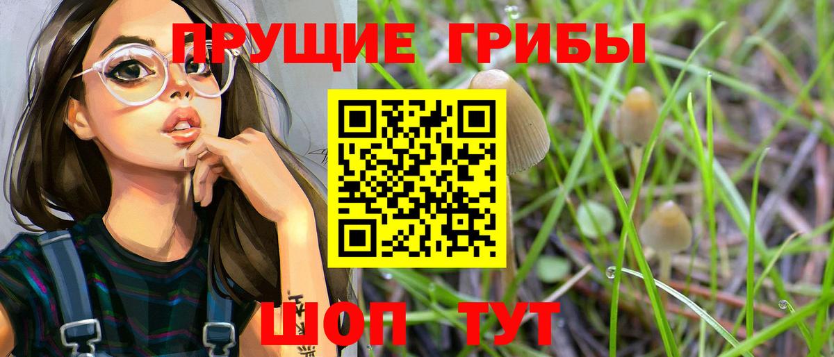 Галлюциногенные грибы GOLDEN TEACHER Белогорск